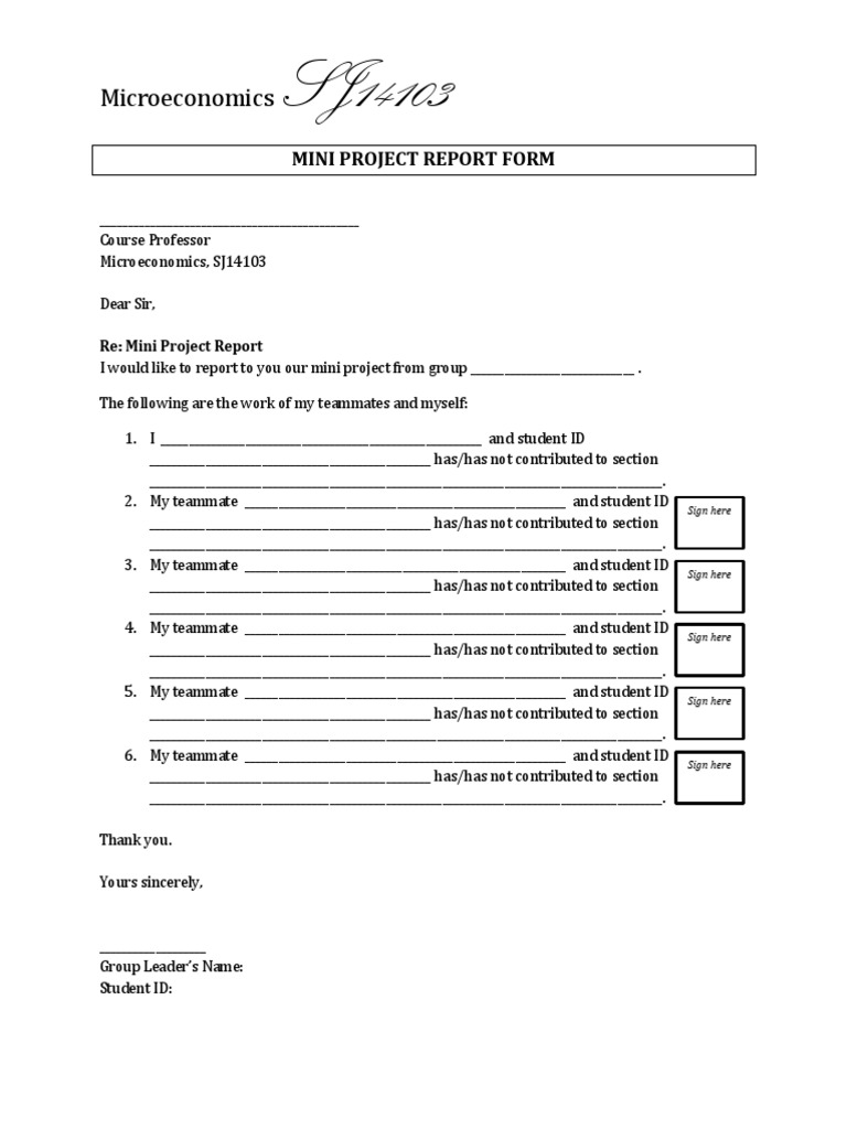 Microeconomics: Mini Project Report Form | PDF