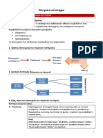 ΕΠΑΝΑΛΗΨΗ ΘΕΩΡΙΑ ΚΑΙ ΕΡΩΤΗΣΕΙΣ ΝΕΥΡΙΚΟ ΣΥΣΤΗΜΑ