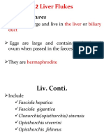 5.2 Liver Flukes: General Features