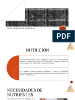 Nutrición e Higiene en El Embarazo