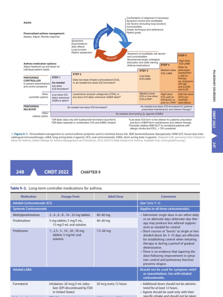 Asthma CURRENT Medical Diagnosis and Treatment 2022 | PDF | Asthma ...