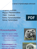 Cestoda: Hymenolepis Nana & Hymenolepis Diminuta