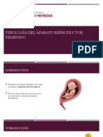Fisiología del aparato reproductor femenino y masculino (2)