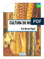 Cultura Do Milho Abr-2014