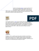 Peixes 13 Alimentos Bom para o Colesterol