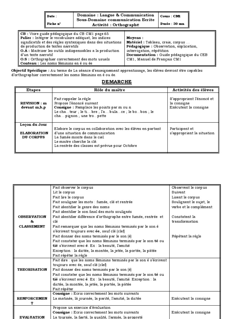 Les Noms Féminins En é Té Tié Exercices Cm2 Pdf Les Noms Feminins en Ée | PDF | Pédagogie | Linguistique