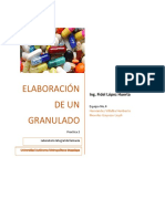 Practica ElaboracionDeUnGranulado PDF