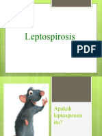 Penyuluhan leptospirosis