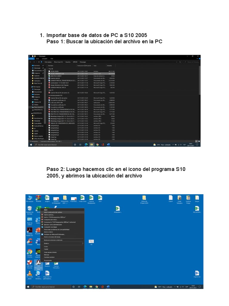 Importar Base de Datos en S10 2005 | PDF