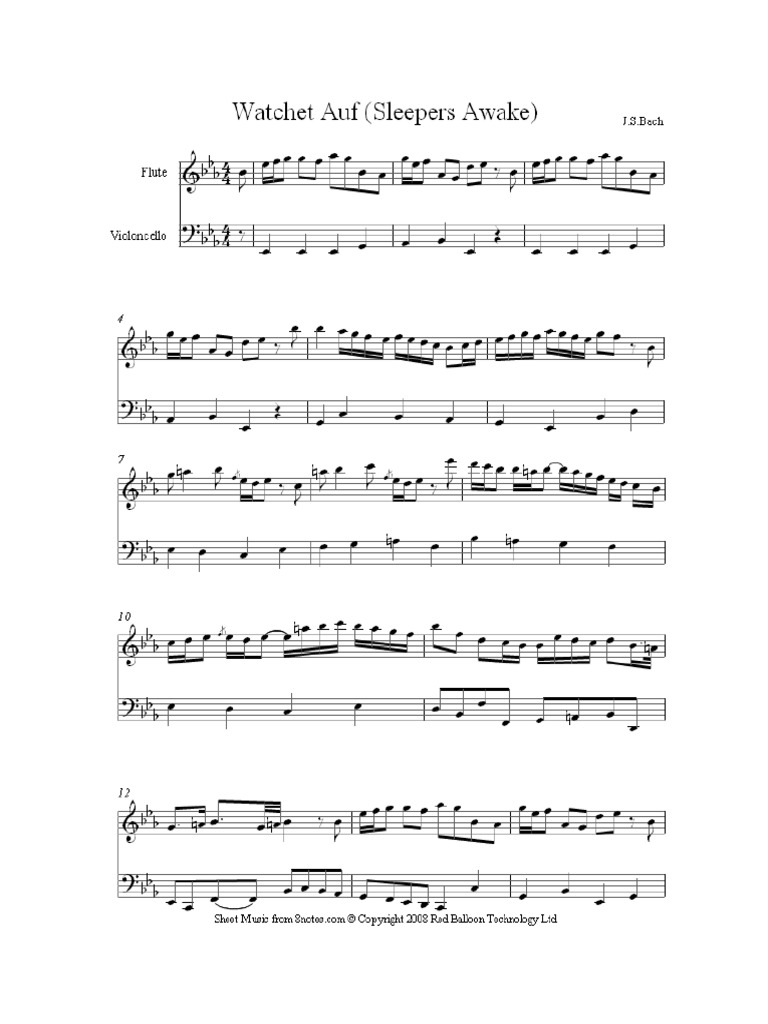 Cello and Flute Duet