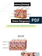 Anatomi Fisiologi Integumen