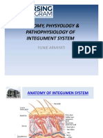 1. Anatomy Physiology of Integument System (2021) (1)