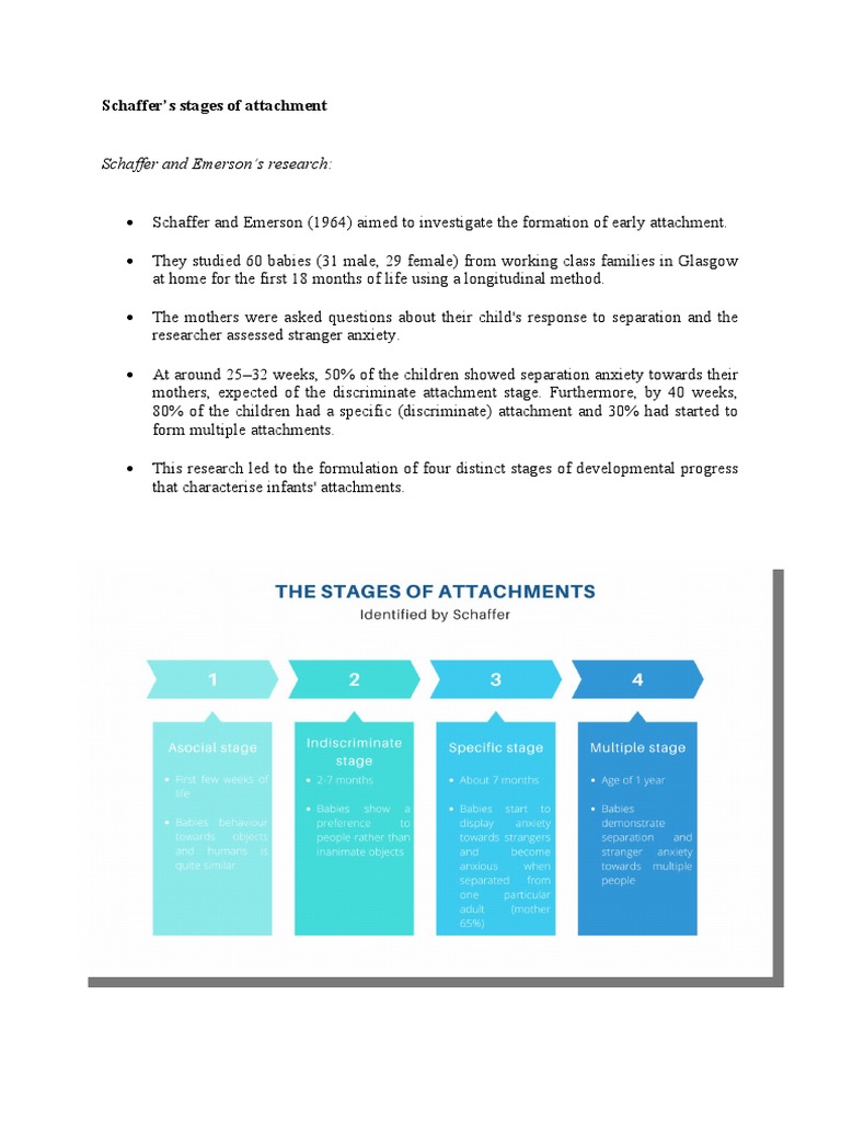 Schaffer's Stages of Attachment | PDF | Attachment Theory | Relationships