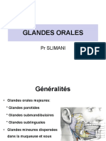 3.Glandes orales anatomie