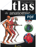 Atlas de Anatomie