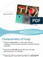 Fungi: (Plural For FUNGUS)