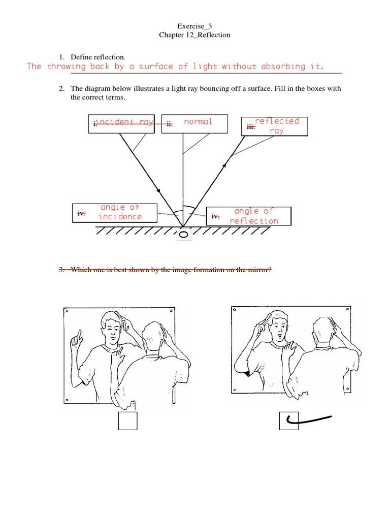 Plane Mirror Reflection Exercises | PDF