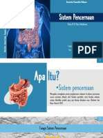 Anatomi Fisiologi - Kelompok 6 - B - Sistem Pencernaan