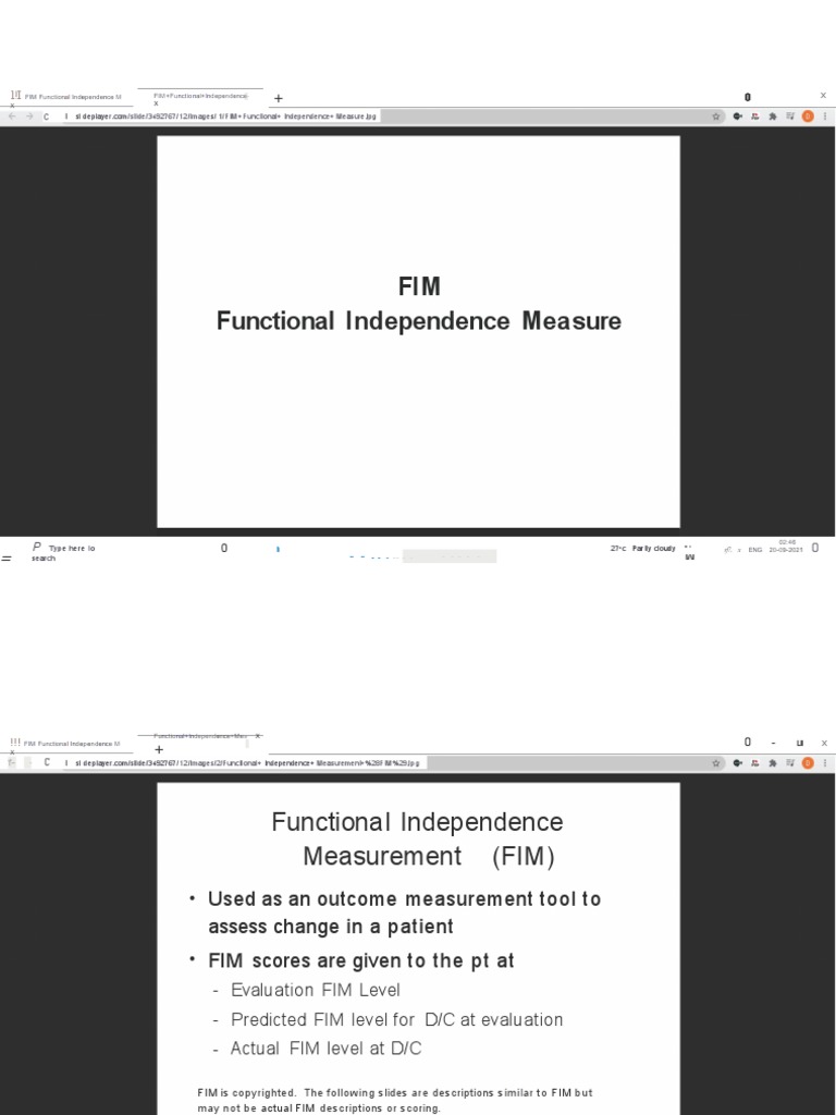 Functional Independence Measure Scale PDF