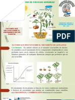 Factores Que Influyen en Crec Plantas