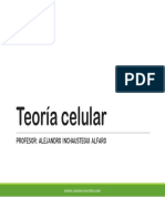 t1 - Teoría Celular