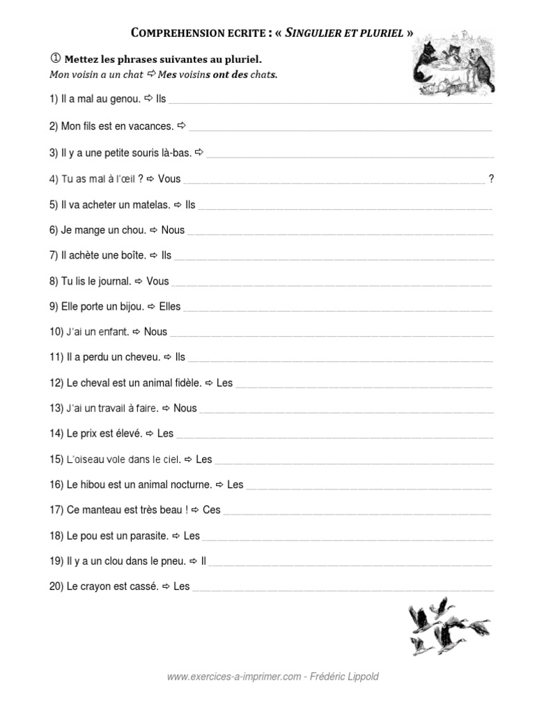 Exercices Singulier Pluriel Ce1 Pdf Singulier Et Pluriel Transformer Les Phrases | PDF