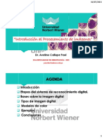 Introducción Al - Procesamiento - Digital - Imágenes - 2021