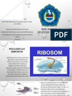 Ribosom & Sintesis Protein