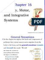 ANAPHY Sensory-Motor-And-Integrated-System