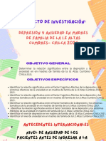 Proyecto de Investigación Depresion y Ansiedad en Madres de Familia de La I.E Altas Cumbres - Chilca 2021