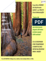 Sequoia:símbolo Do Ser Oceânico e Da Autorrealização