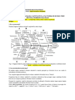 MRTM - Fishbone Diagram - Analiza de Risc