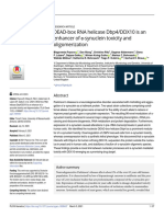 DEAD-box RNA helicase Dbp4/DDX10 is an enhancer of α-synuclein toxicity and oligomerization