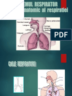 ppr sist respirator