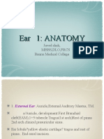 EAR 1 Anatomy