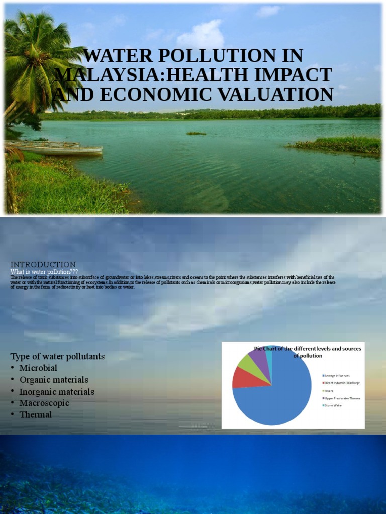 Water Pollution in Malaysia PDF