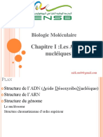 Acides Nucléiques 2020_2021