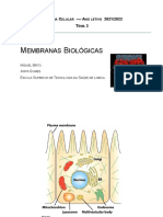 Biologia Celular - Tema 3 - Membranas - New