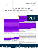 Raising EU and NATO Effectiveness-  The Impact of Diverse Boots on the Ground