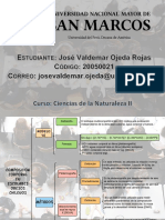 Tarea 2 Asincrónica Infografía Comp. Corporal CN II UNMSM EEGG - José Ojeda