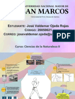 Tarea 1 Asincrónica Infografía CN II UNMSM EEGG - José Ojeda