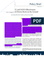 Raising EU and NATO Effectiveness- the Impact of Diverse Boots on the Ground
