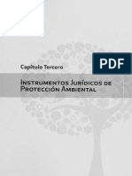 Instrumentos jurídicos de protección ambiental (Bermúdez Soto, Fundamentos de Derecho Ambiental, pp. 189 a 194)