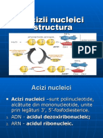 Structura Acizilor Nucleici