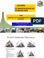 Control de Las Enfermedades de Las Plantas