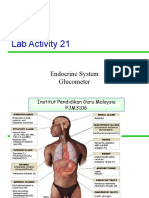 Lab Activity 21: Endocrine System Glucometer