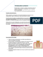 Patologia Pulpar y Periapical