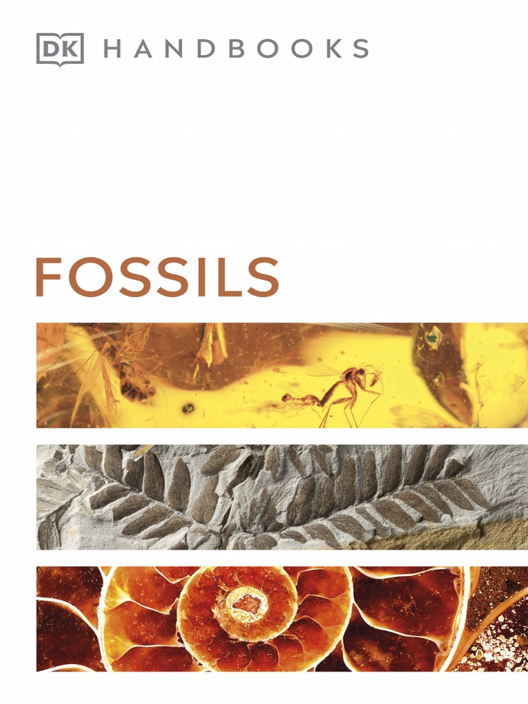 Fossils (DK Smithsonian Handbook) by DK PDF Fossil