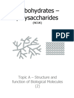 Carbohydrates - Polysaccharides: Topic A - Structure and Function of Biological Molecules