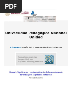 Actividad Integradora.